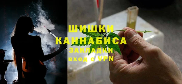 соль ск Каменногорск