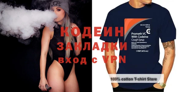 шишки Каменка