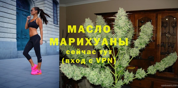 шишки Каменка