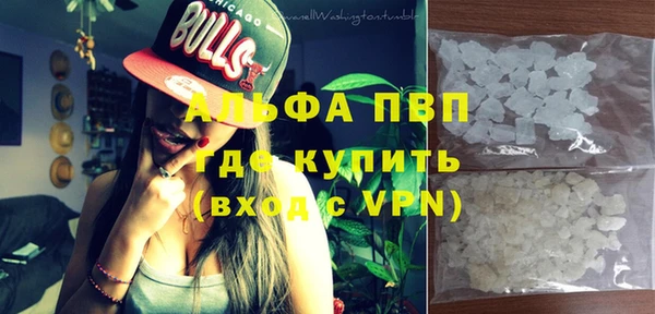 шишки Каменка