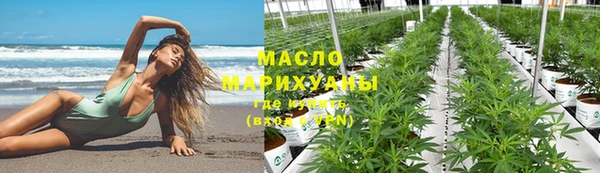 шишки Каменка