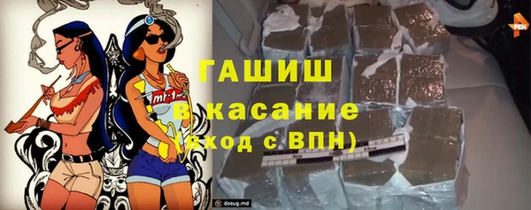 шишки Каменка