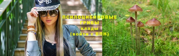 шишки Каменка