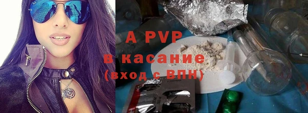соль ск Каменногорск