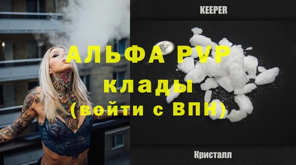 шишки Каменка