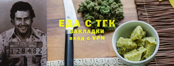 шишки Каменка