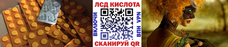 Купить закладки  Выборг  ЛСД экстази кислота 