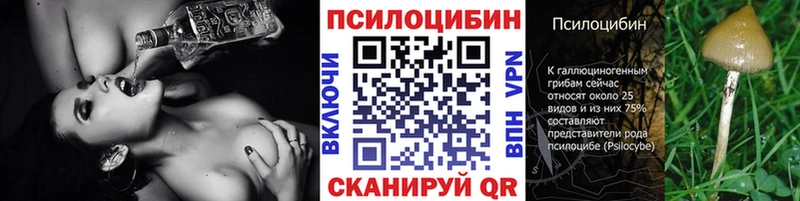 Псилоцибиновые грибы Psilocybe  Купить закладки  Выборг 